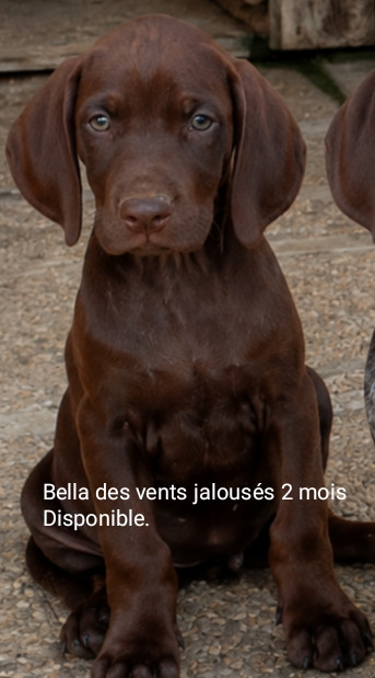 Bella Des Vents Jalouses